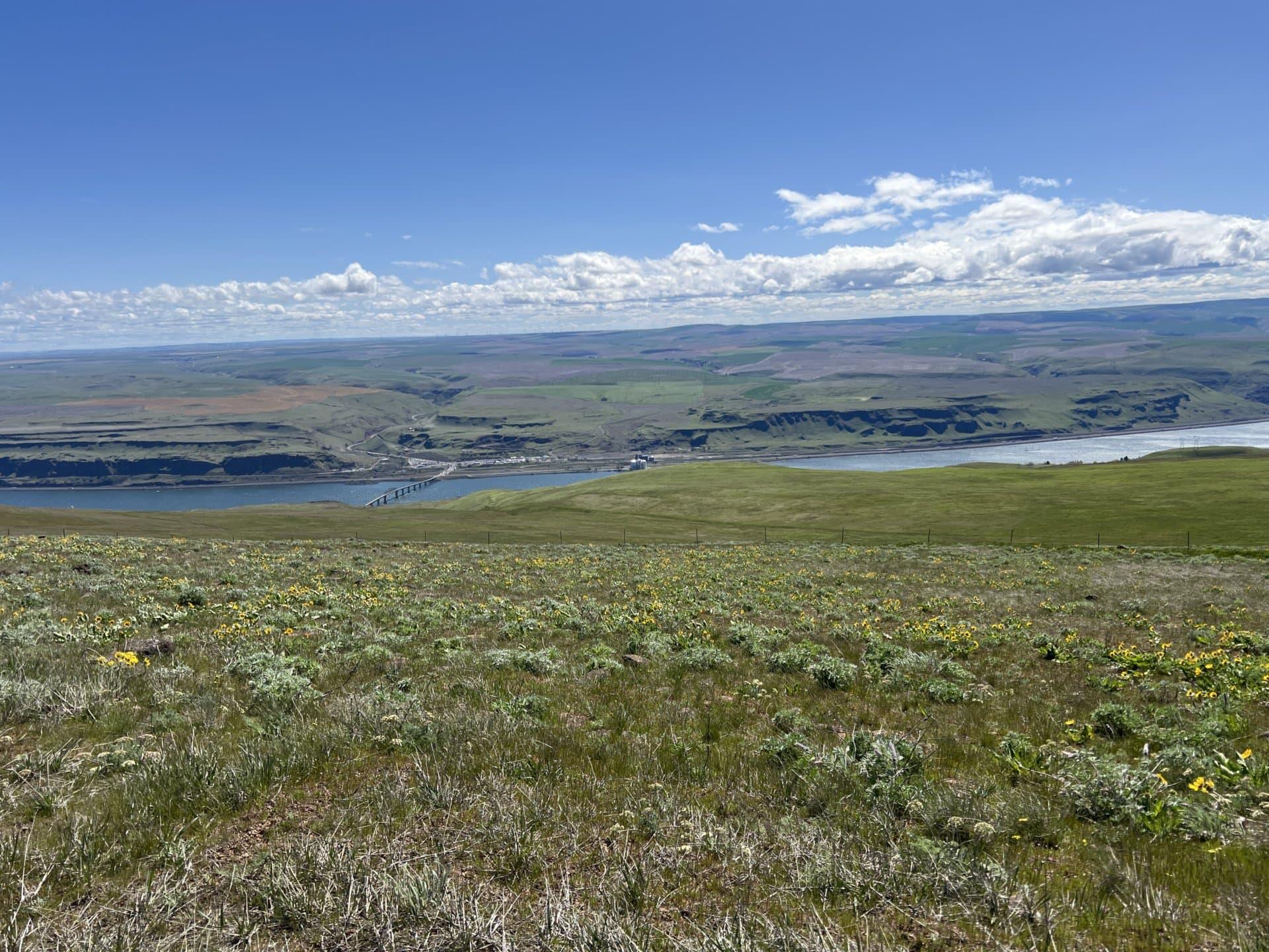 Columbia Gorge Cattle Ranch