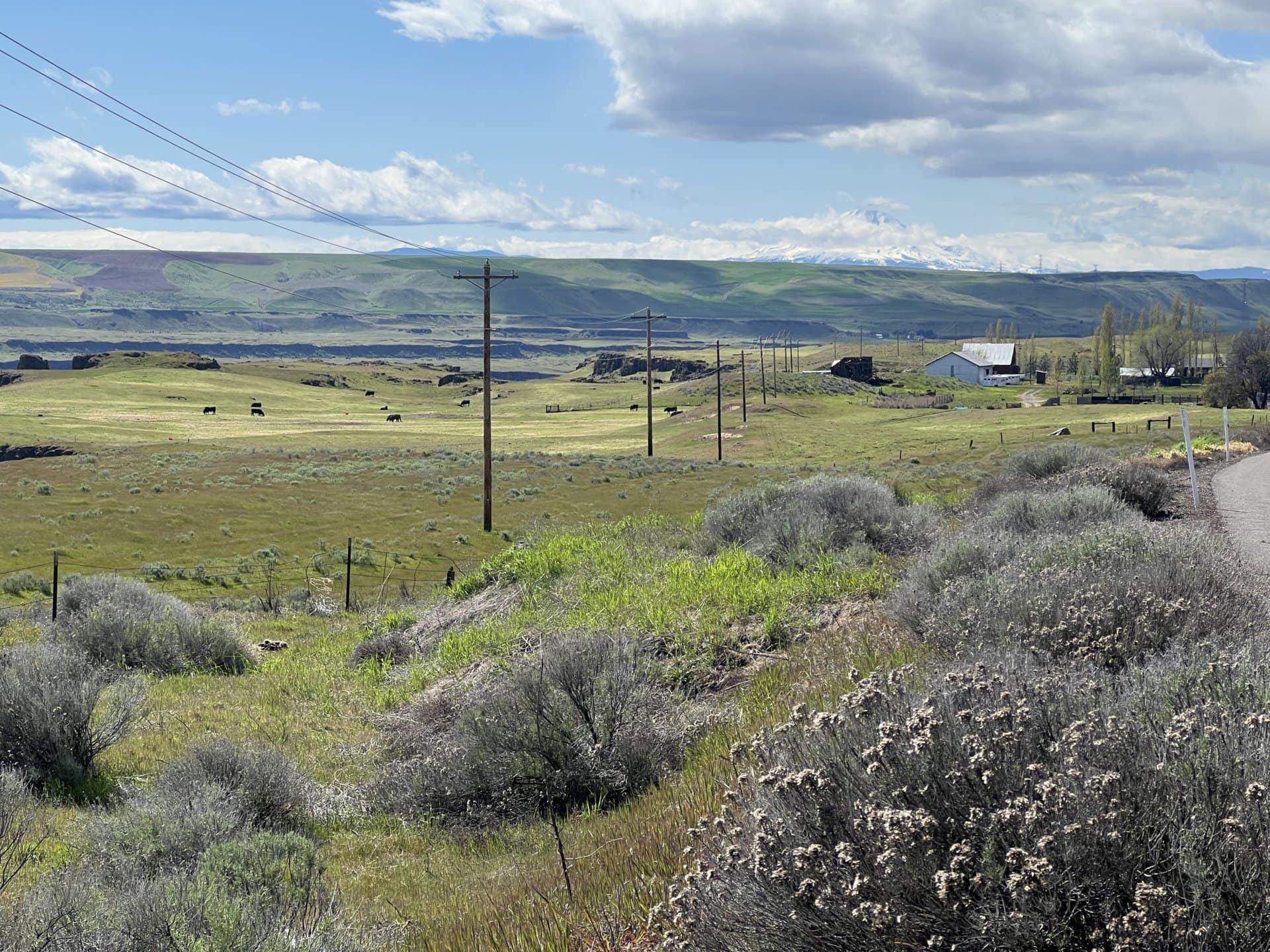 Columbia Gorge Cattle Ranch