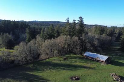Silver Springs Cattle Ranch (SSCR)